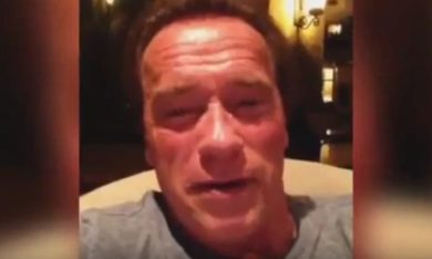 Oscar 2016, Schwarzenegger consola Stallone