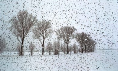 Le foto più belle della settimana – 20/26 febbraio