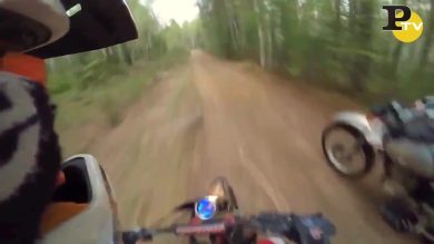I motociclisti spaventati da un orso