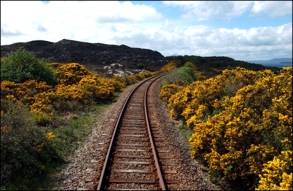 I viaggi in treno più lussuosi al mondo I viaggi in treno più lussuosi al mondo