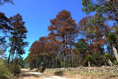 The European Union invests on environmental projects