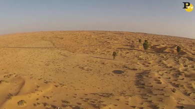 Dubai: il safari nel deserto