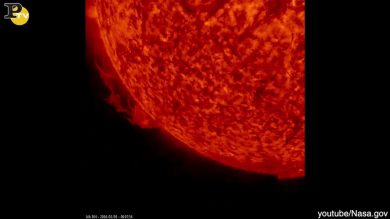 Nasa: la grande tempesta solare – video