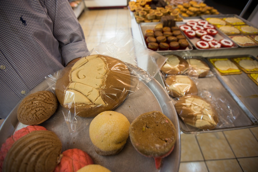 Il viaggio del Papa in Messico – Foto