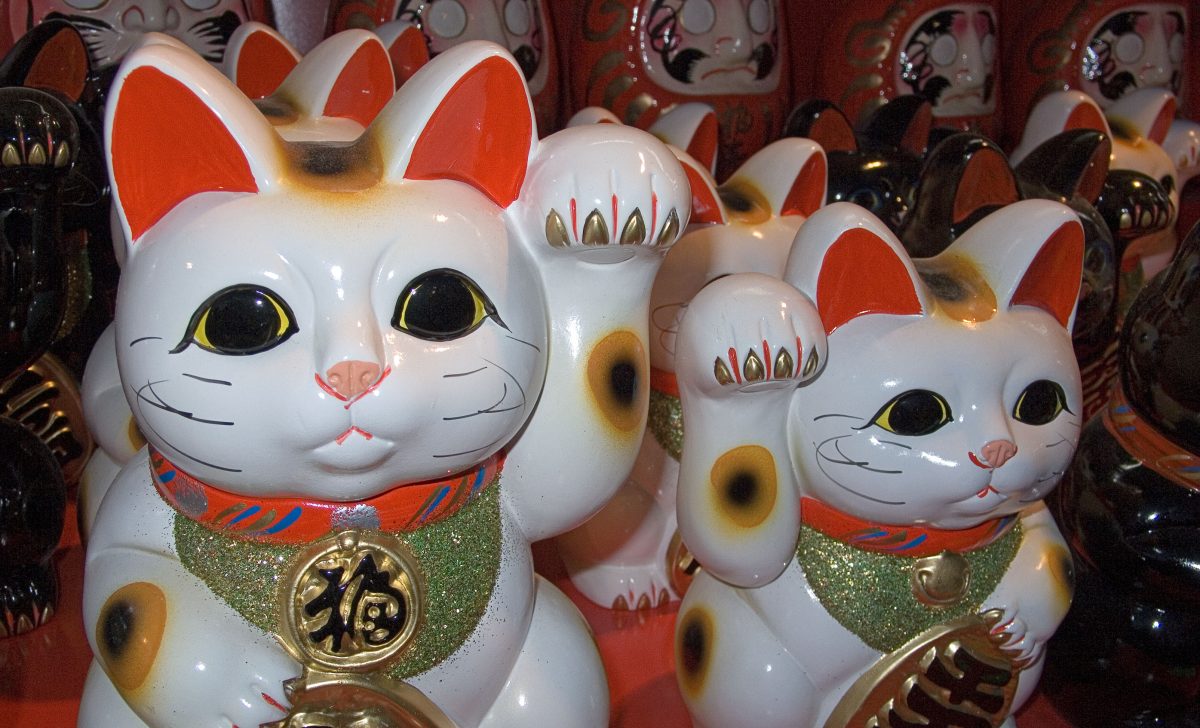 Galleria foto 'Oggi la Festa del Gatto: 10 cose da sapere' - foto 5