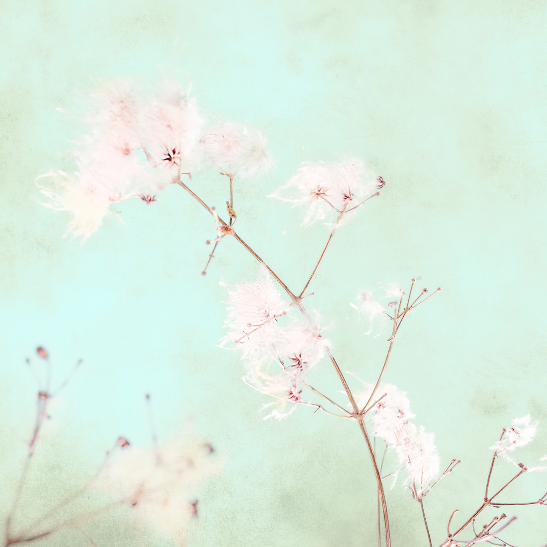 Confini13. Rassegna italiana di fotografia contemporanea Confini13. Rassegna italiana di fotografia contemporanea