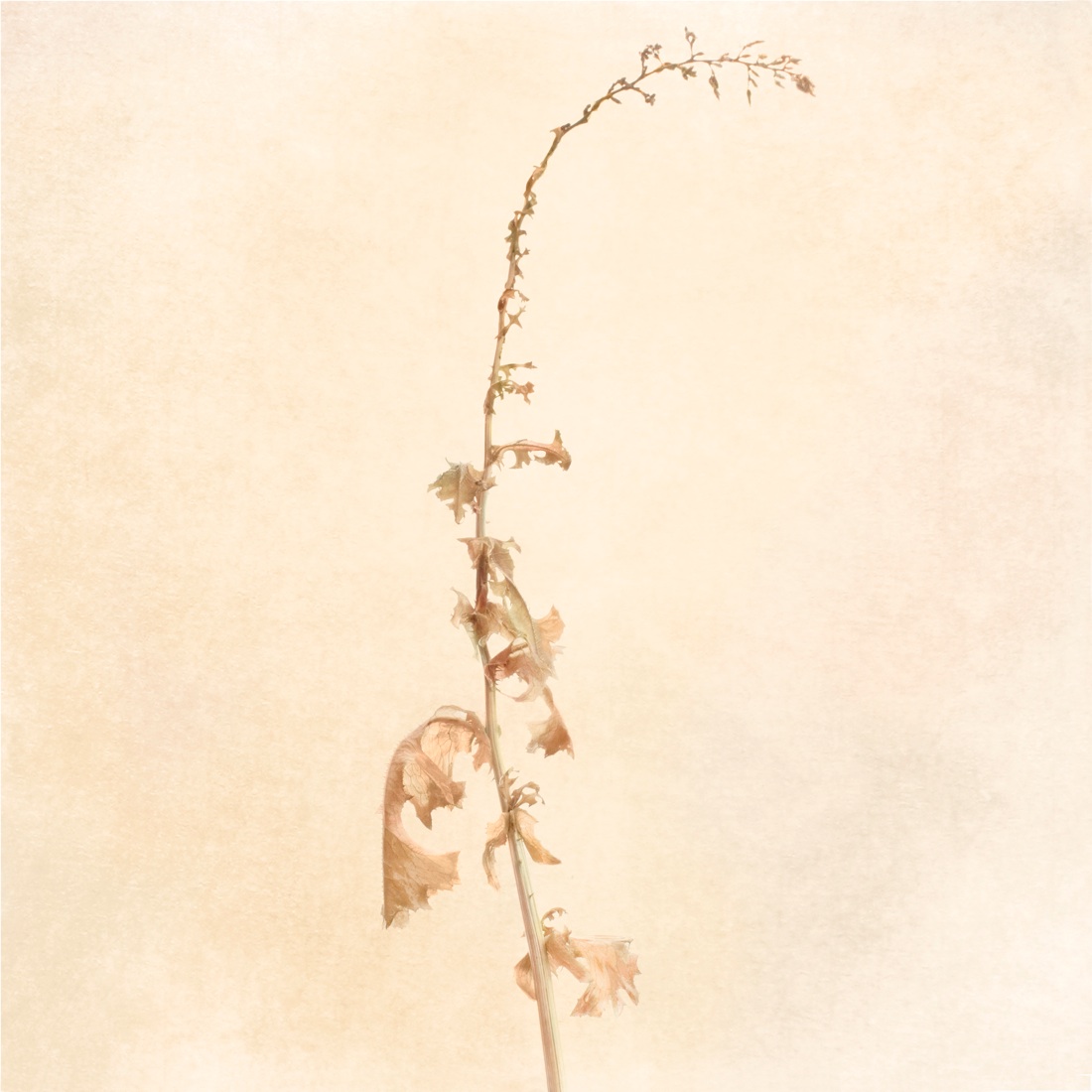 Confini13. Rassegna italiana di fotografia contemporanea Confini13. Rassegna italiana di fotografia contemporanea