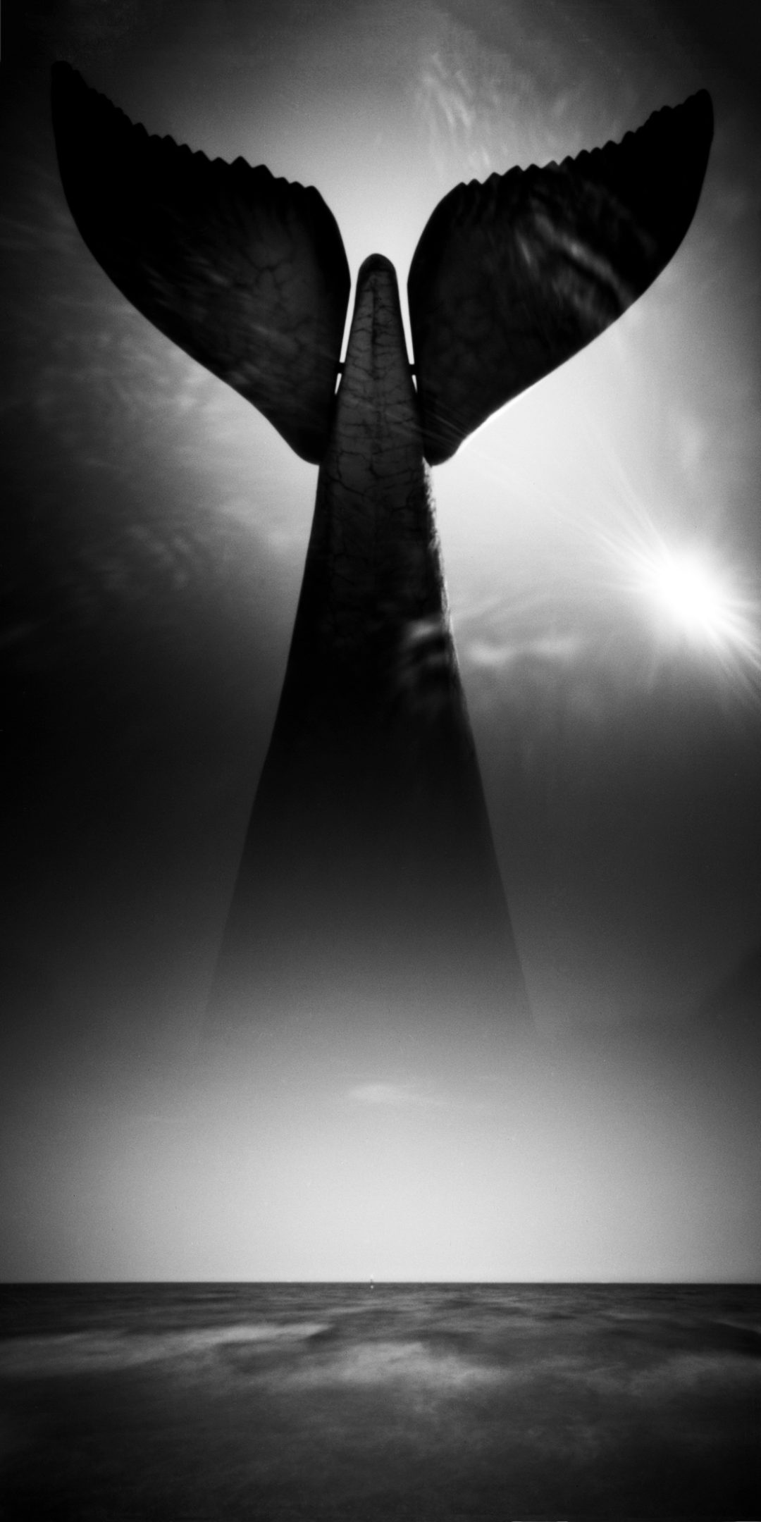 Confini13. Rassegna italiana di fotografia contemporanea Confini13. Rassegna italiana di fotografia contemporanea