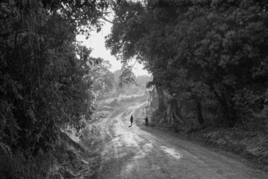 Jakob de Boer.Origin