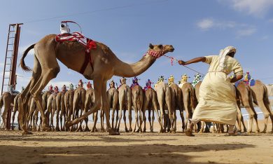 Dagli Emirati Arabi arriva il Ministero della Felicità