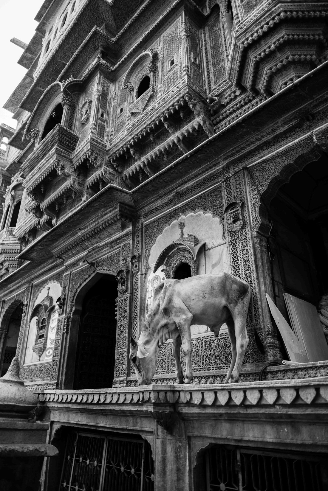 Paolo Balboni, Varanasi Paolo Balboni, Varanasi