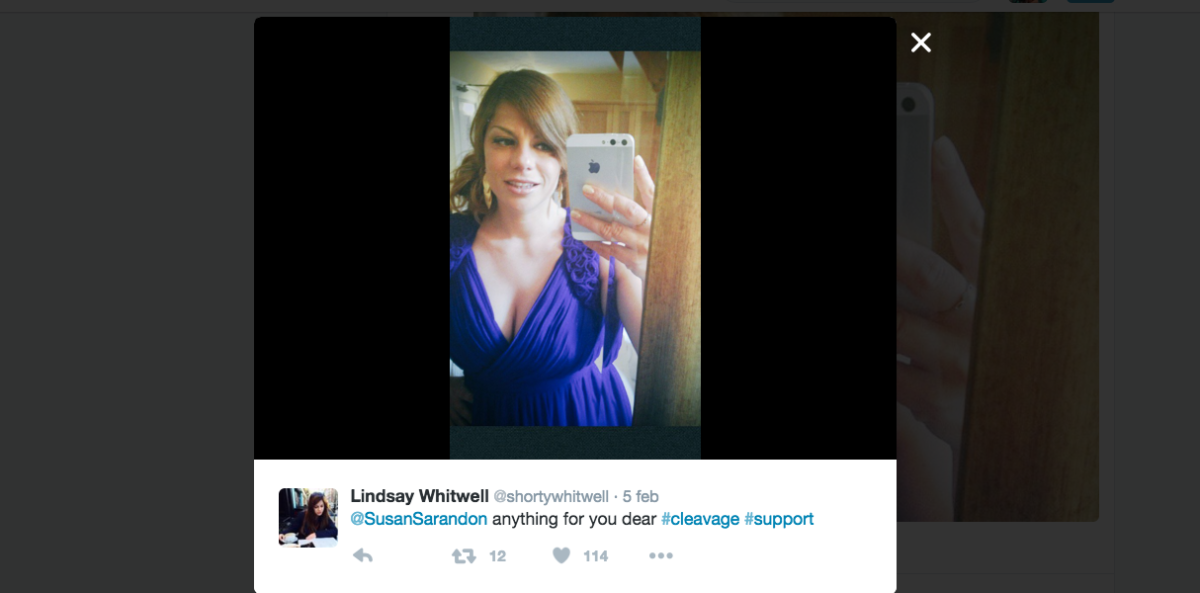 Galleria foto 'Susan Sarandon e la replica da manuale alla stampa bacchettona' - foto 9