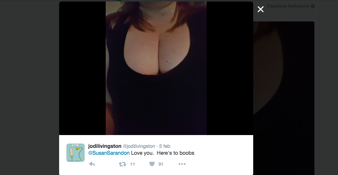 Galleria foto 'Susan Sarandon e la replica da manuale alla stampa bacchettona' - foto 7