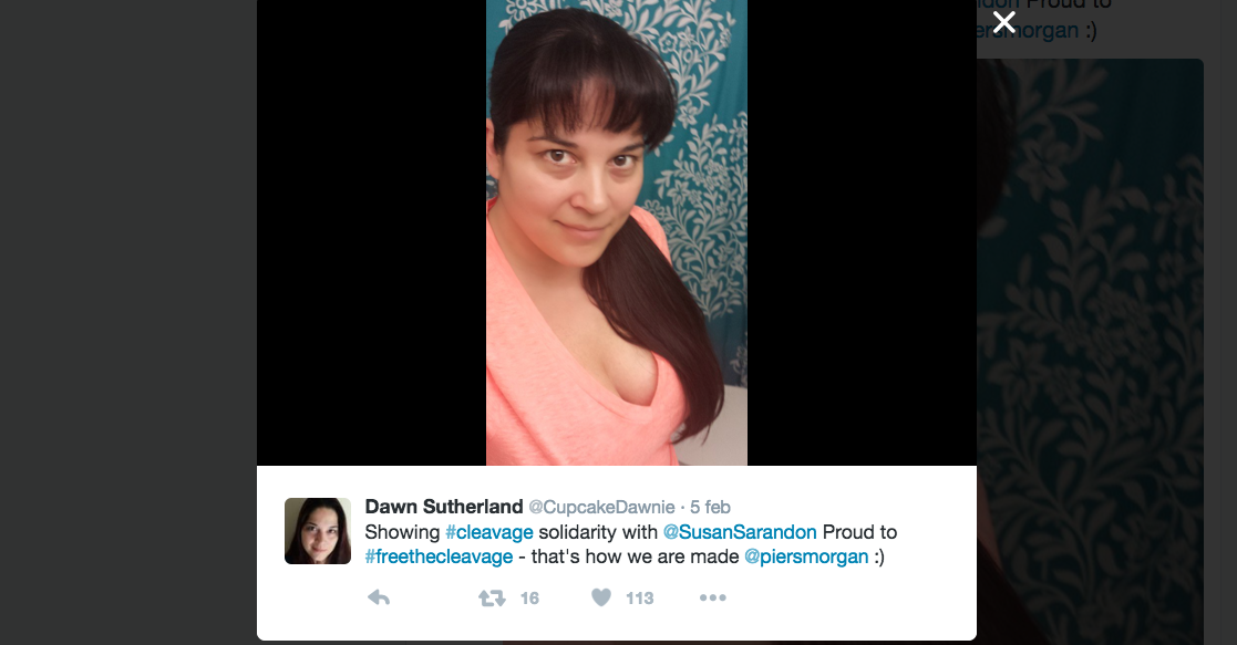 Galleria foto 'Susan Sarandon e la replica da manuale alla stampa bacchettona' - foto 5