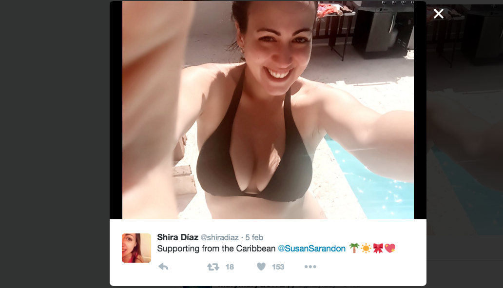 Galleria foto 'Susan Sarandon e la replica da manuale alla stampa bacchettona' - foto 16