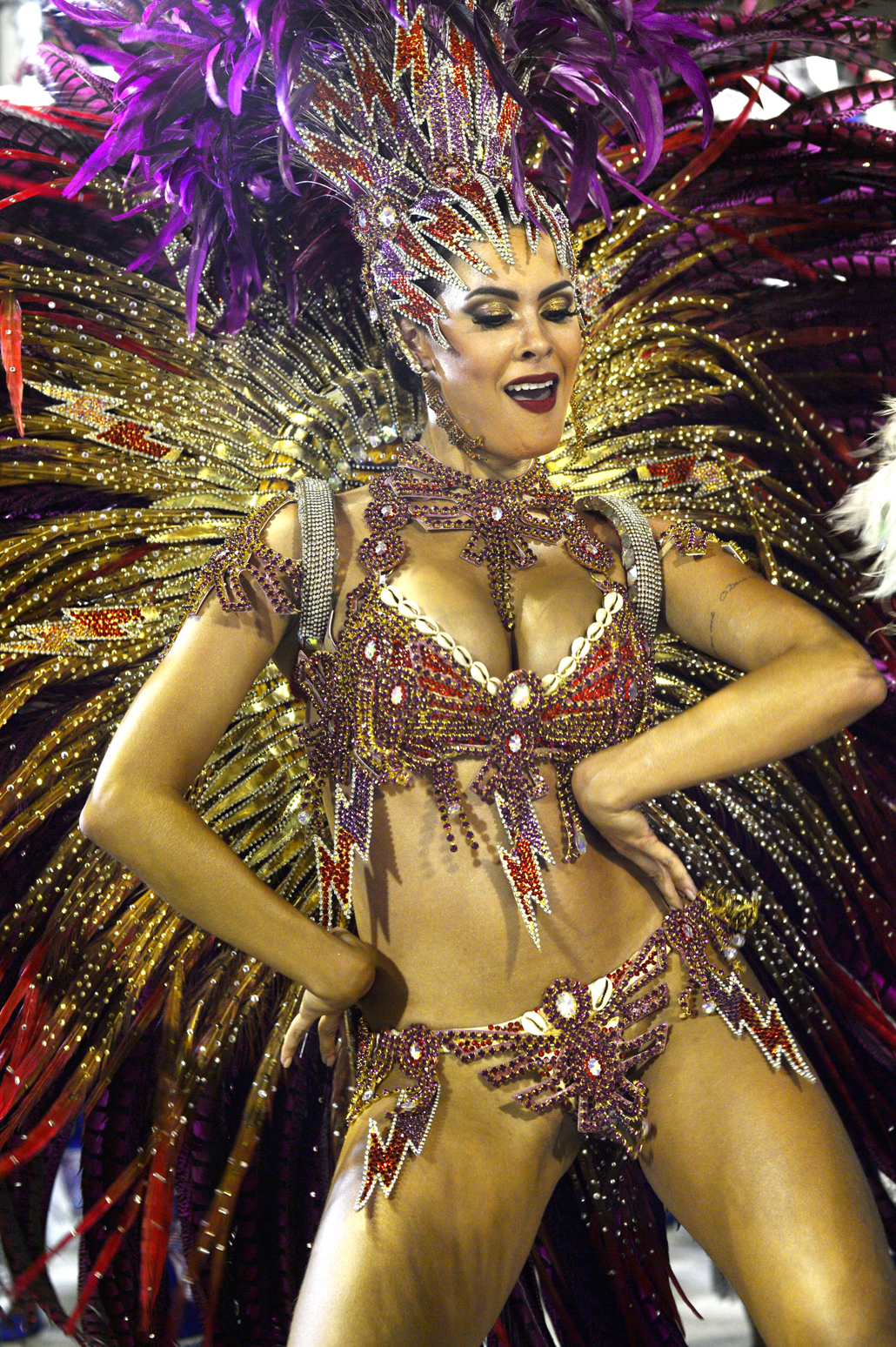 Carnevale di Rio de Janeiro 2016
