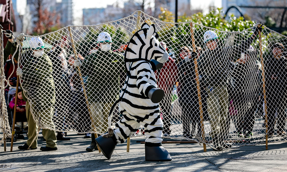 Le foto più belle della settimana – 30 gennaio/5 febbraio