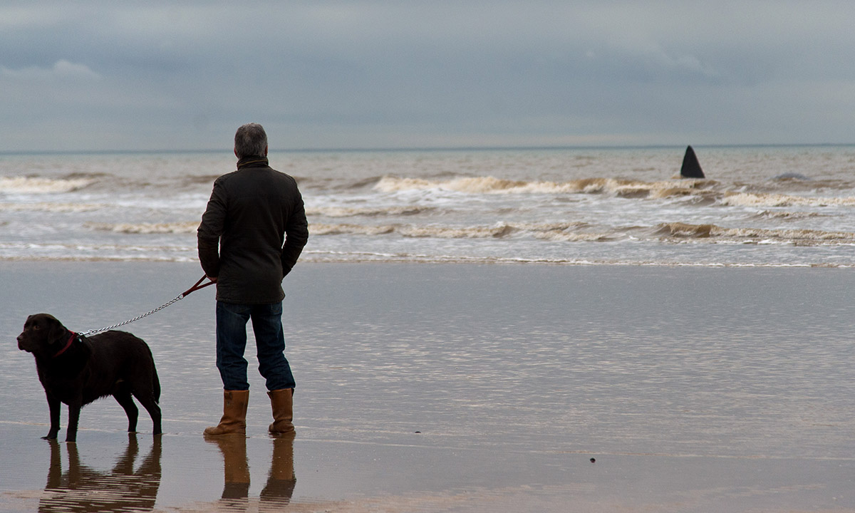 Le foto più belle della settimana – 30 gennaio/5 febbraio