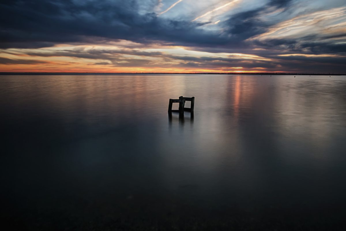 Galleria foto 'Scattare con lo smartphone: i trucchi di Google' - foto 10