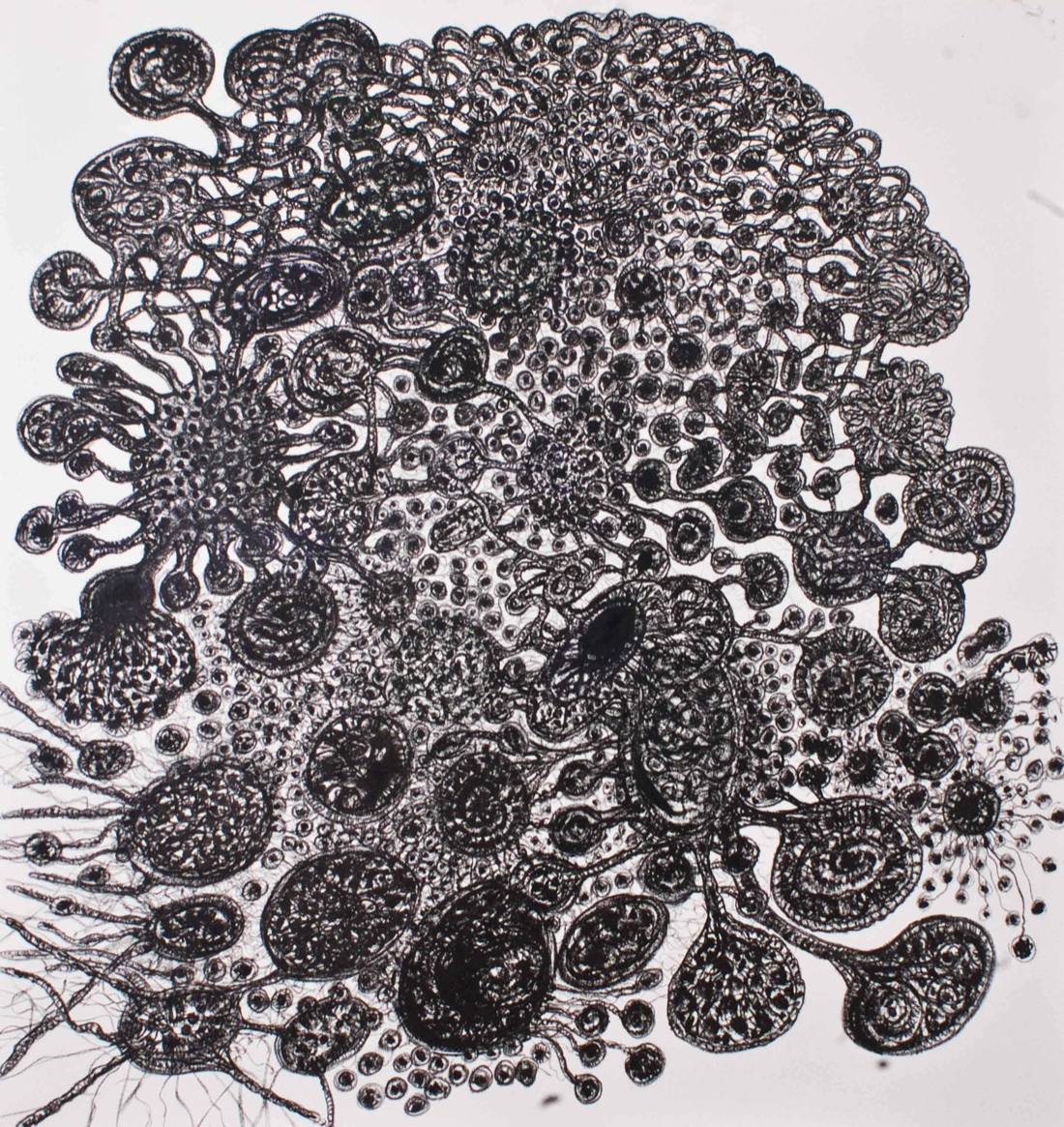 Klaus Münch. Gocce di spazi paralleli Klaus Münch. Gocce di spazi paralleli