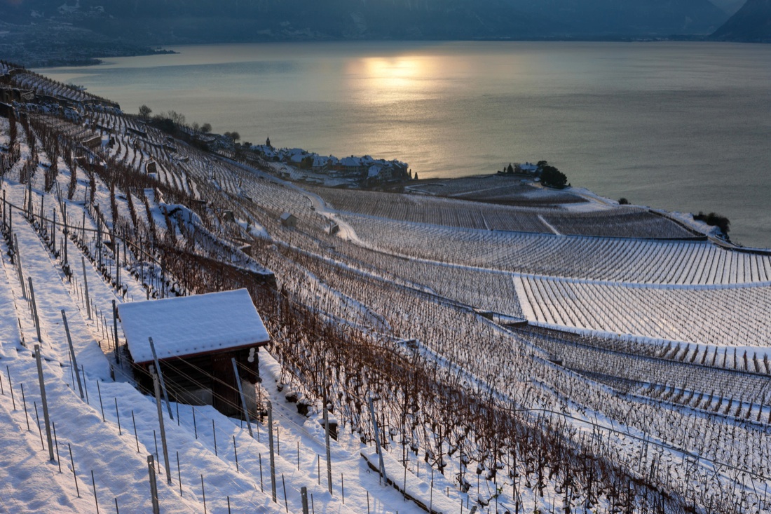 Svizzera, muore in un incendio figlio dell’Ad di Msc Crociere Svizzera, muore in un incendio figlio dell’Ad di Msc Crociere
