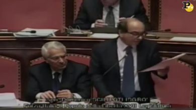 L’inglese di Scilipoti e la “stepchild adoption”