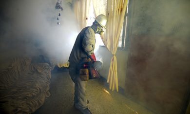 Zika, scatta l’allarme su scala mondiale