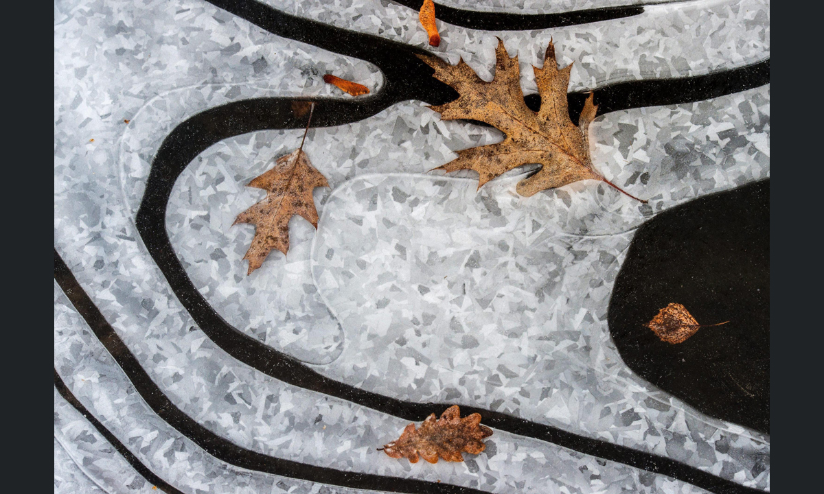 Le foto più belle dell’inverno