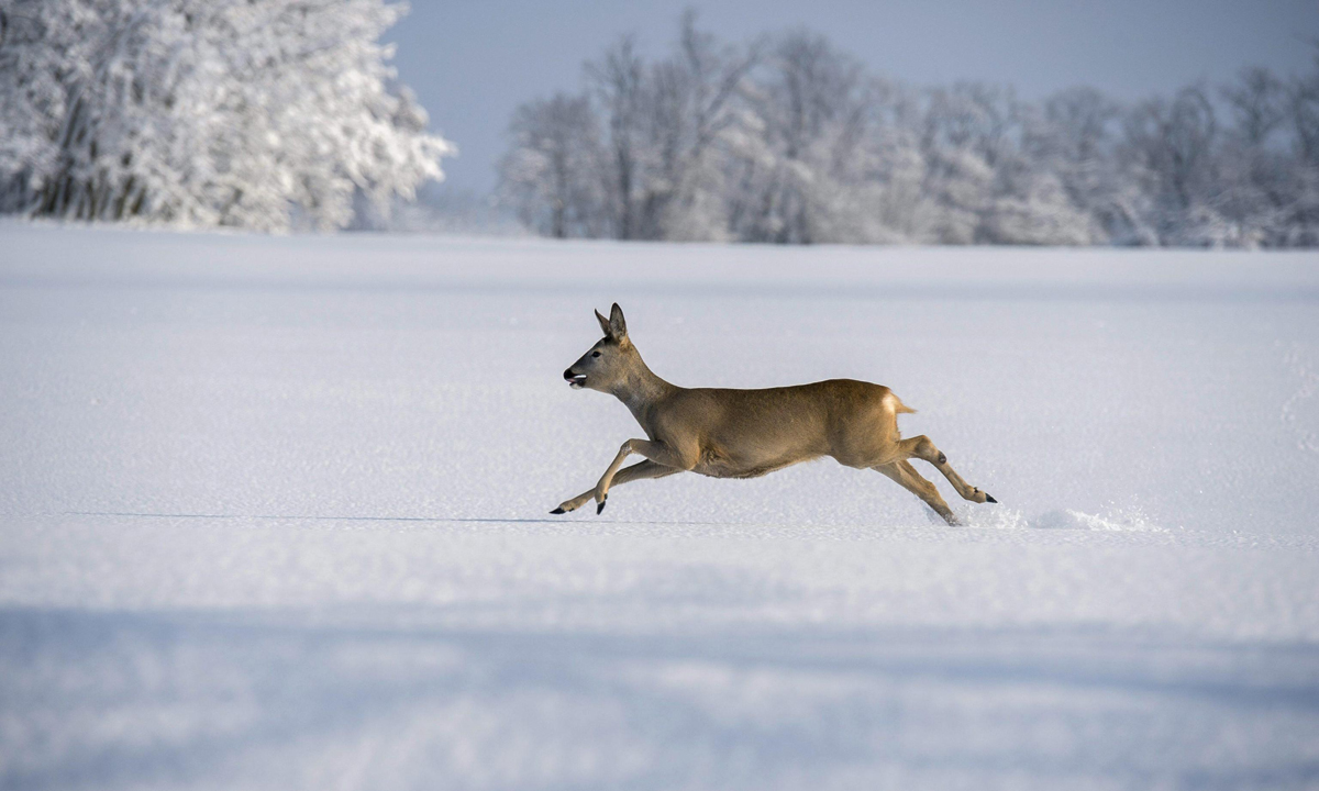 Le foto più belle dell’inverno