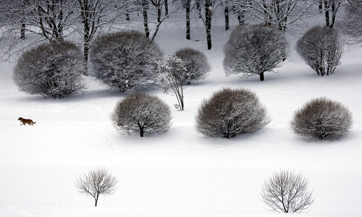 Le foto più belle dell’inverno