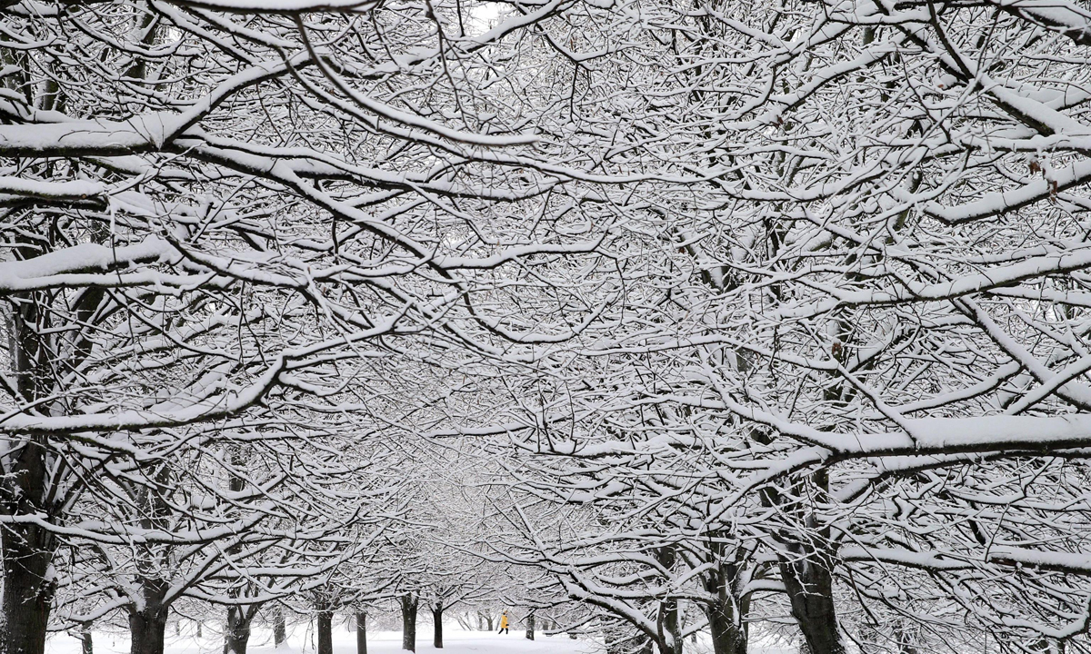 Le foto più belle dell’inverno