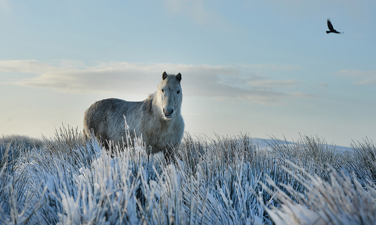 Le foto più belle dell’inverno