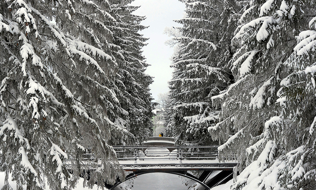 Le foto più belle dell’inverno