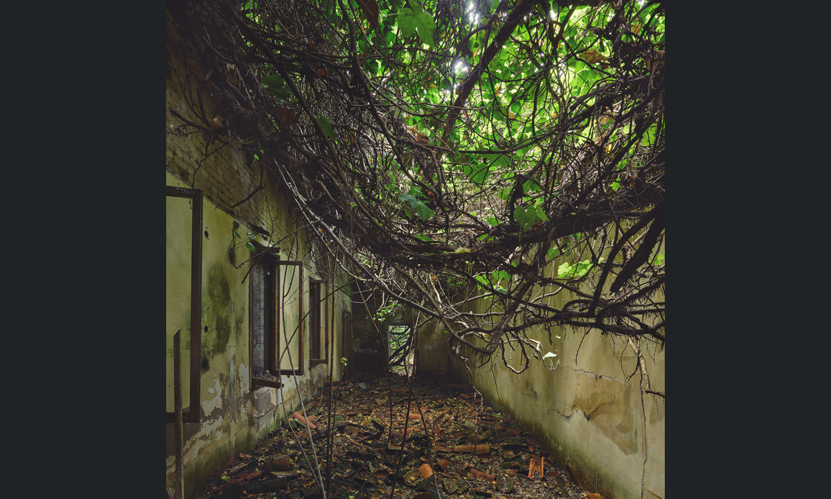 Meraviglia dell’abbandono