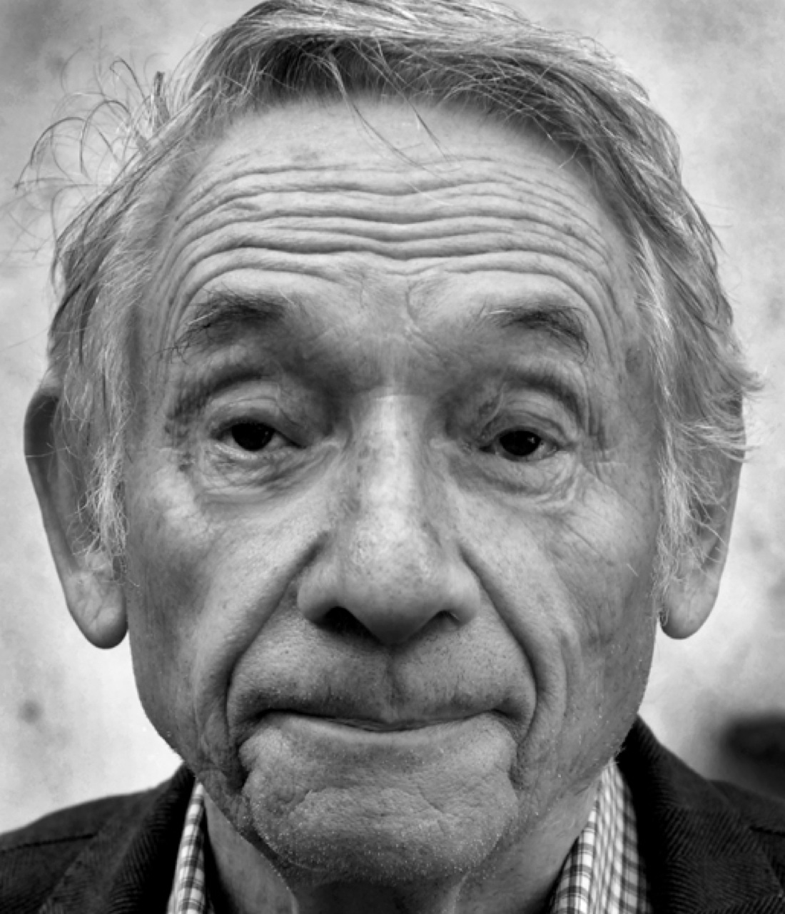 Galleria foto '“Caro Dondero …”' - foto 8