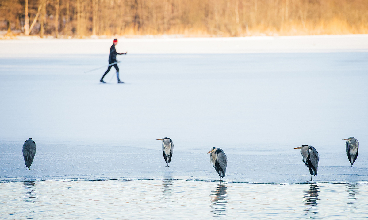 ANIMALI, le foto più belle del mese – Gennaio