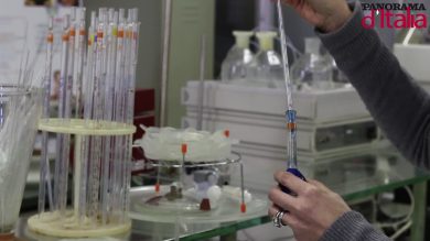 Panorama d’Italia, premiata la start-up dei cosmetici green