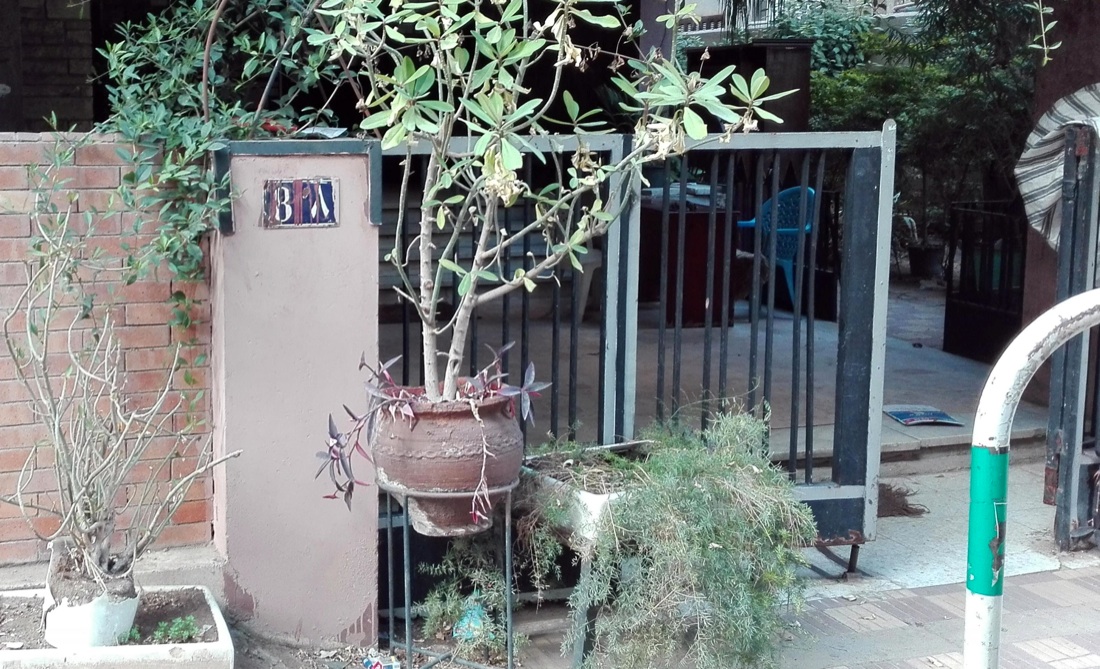 Buio fitto sul caso Regeni, alta tensione tra Italia ed Egitto