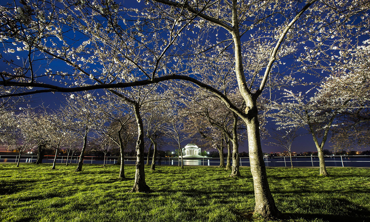 Le foto più belle della settimana – 19/25 marzo