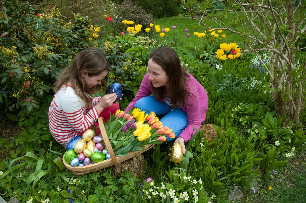 Galleria foto 'Pasqua, perché si mangia l’uovo di cioccolato?' - foto 8