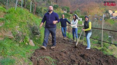 Coop. Ghinghinelli: nuova agricoltura, nuovo mondo