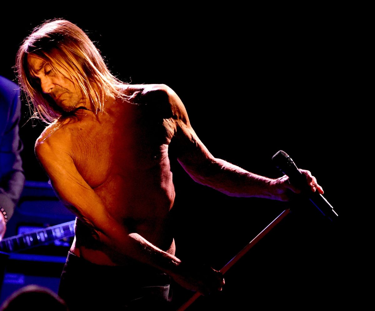 Galleria foto 'Iggy Pop, Post pop depression: l’ultimo grande disco dell’iguana?' - foto 2