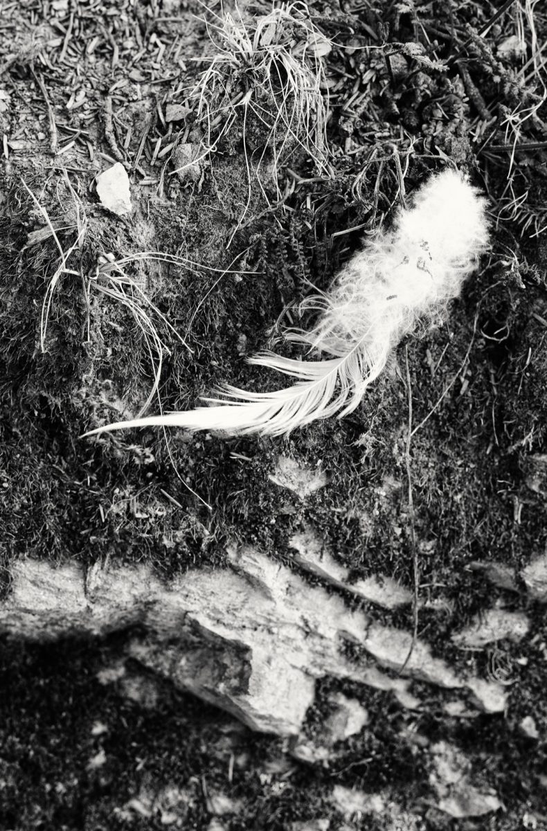 Andy Summers. Mysterious Barricades Andy Summers. Mysterious Barricades