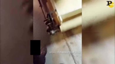 Kellogg: il dipendente urina sul nastro dei cereali