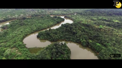 Spettacolari immagini dell’Amazzonia riprese dal drone