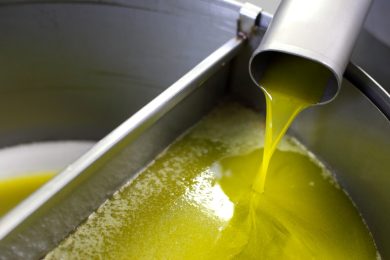 Olio tunisino senza dazi, l’ok dell’Europa e le proteste degli agricoltori