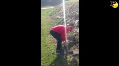 Reina gioca a golf, ma la pallina gli finisce in faccia