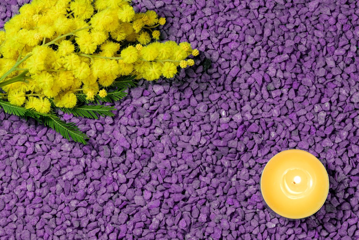 Galleria foto 'Festa della Donna, quando a decidere è lei' - foto 2