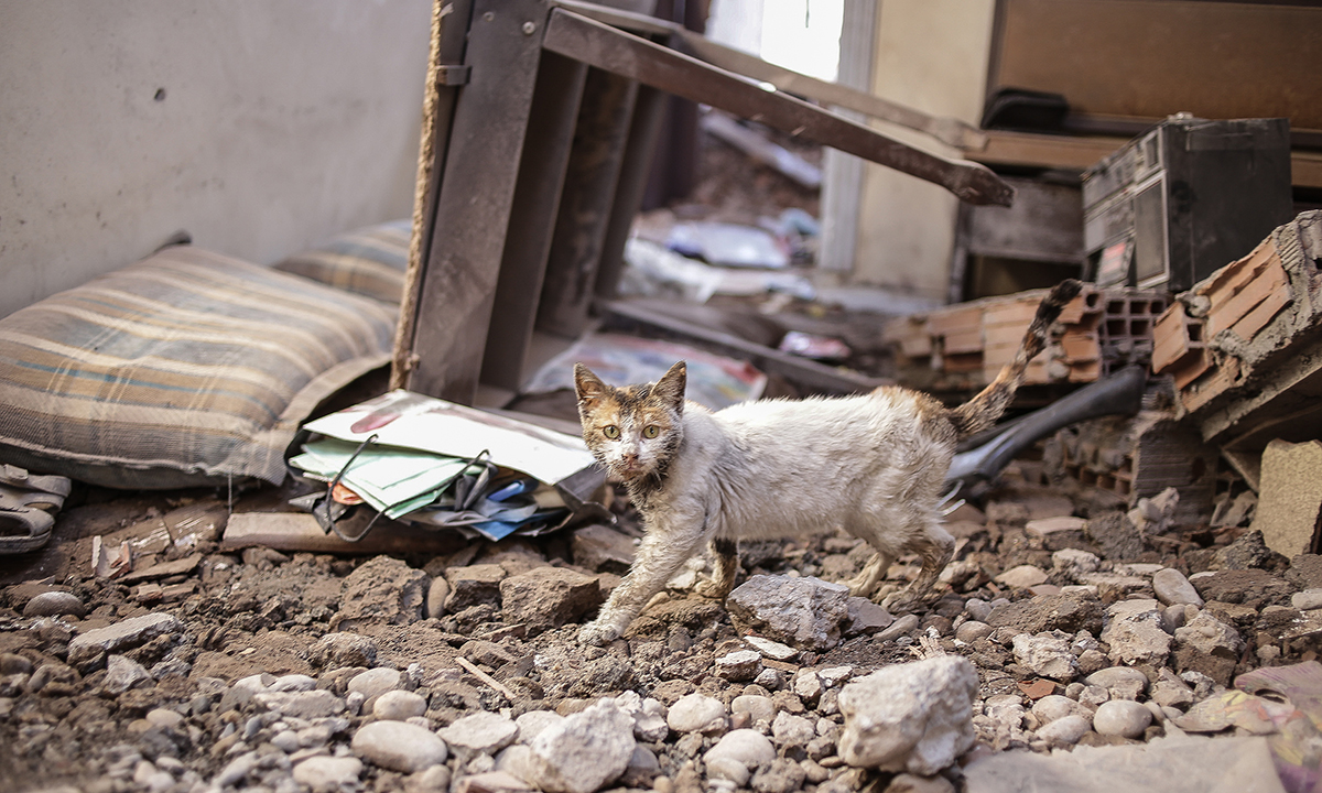Turchia, il ritorno dei curdi tra le macerie di Cizre – Foto Turchia, il ritorno dei curdi tra le macerie di Cizre – Foto