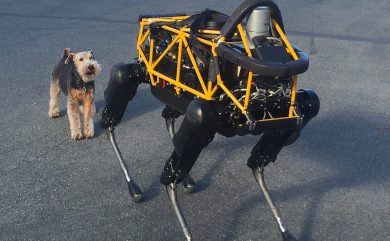 Cosa succede quando un cane robot ne incontra uno vero